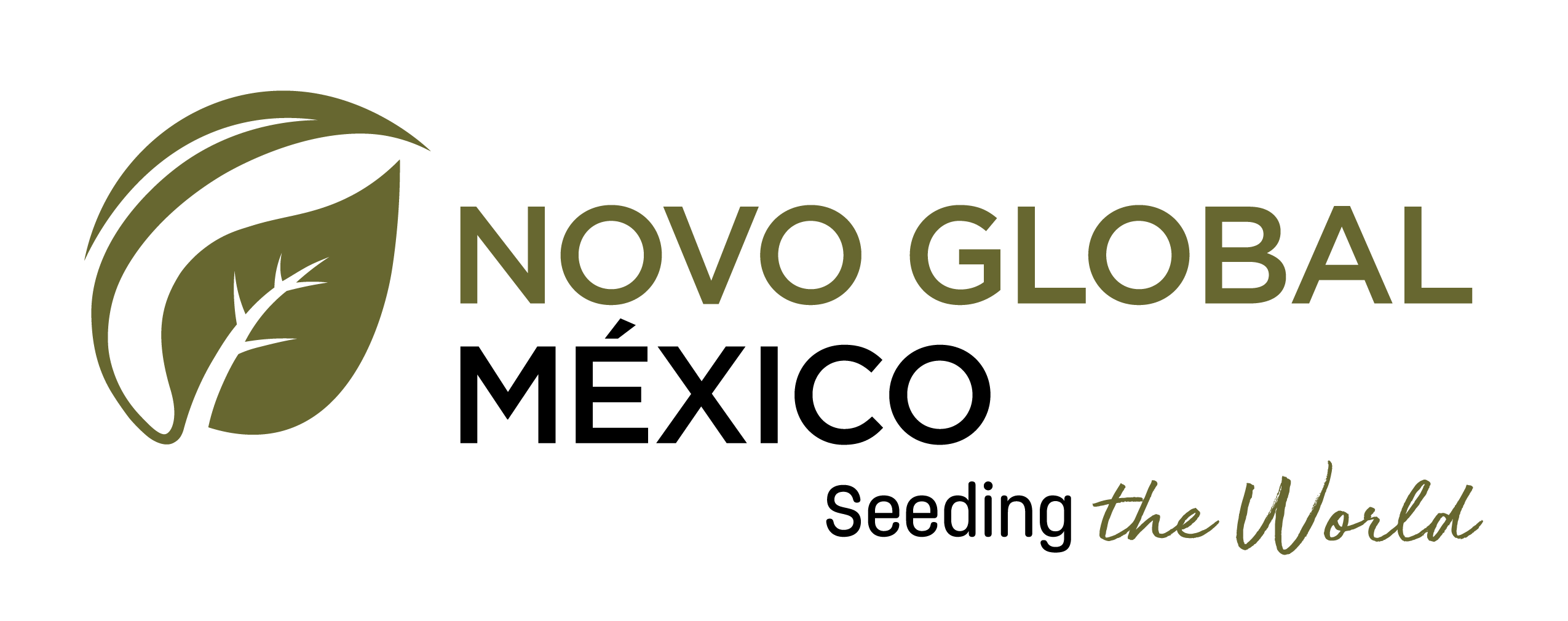 Novo Global Exports